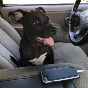 Meet your Posher, Kolby